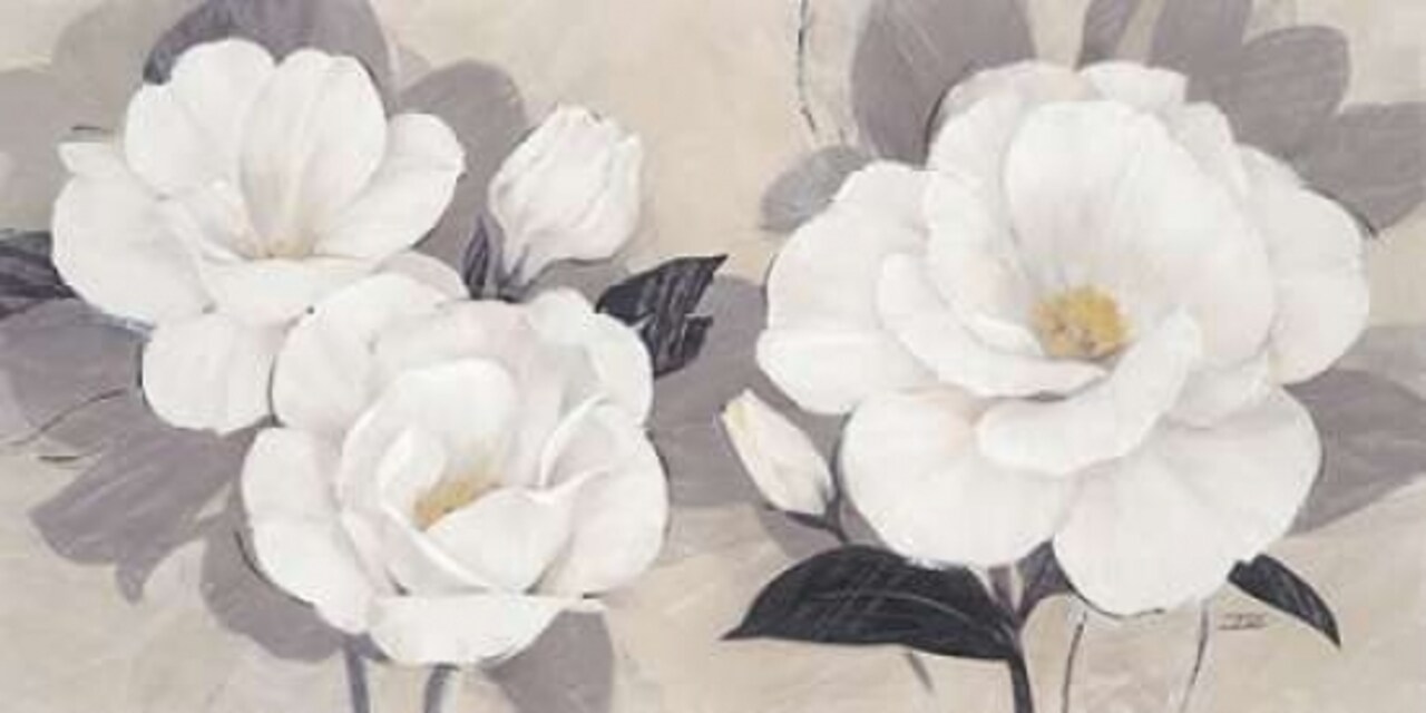 Unfolding Blossoms Poster Print by Ivo Stoyanov - Item # VARPDX545STO1031